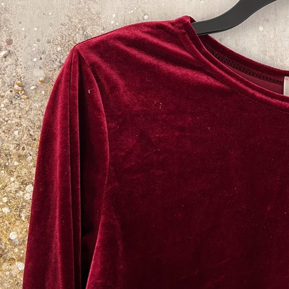 🇨🇦 The Work Velvet Top (NWOT) - Picture 6 of 10